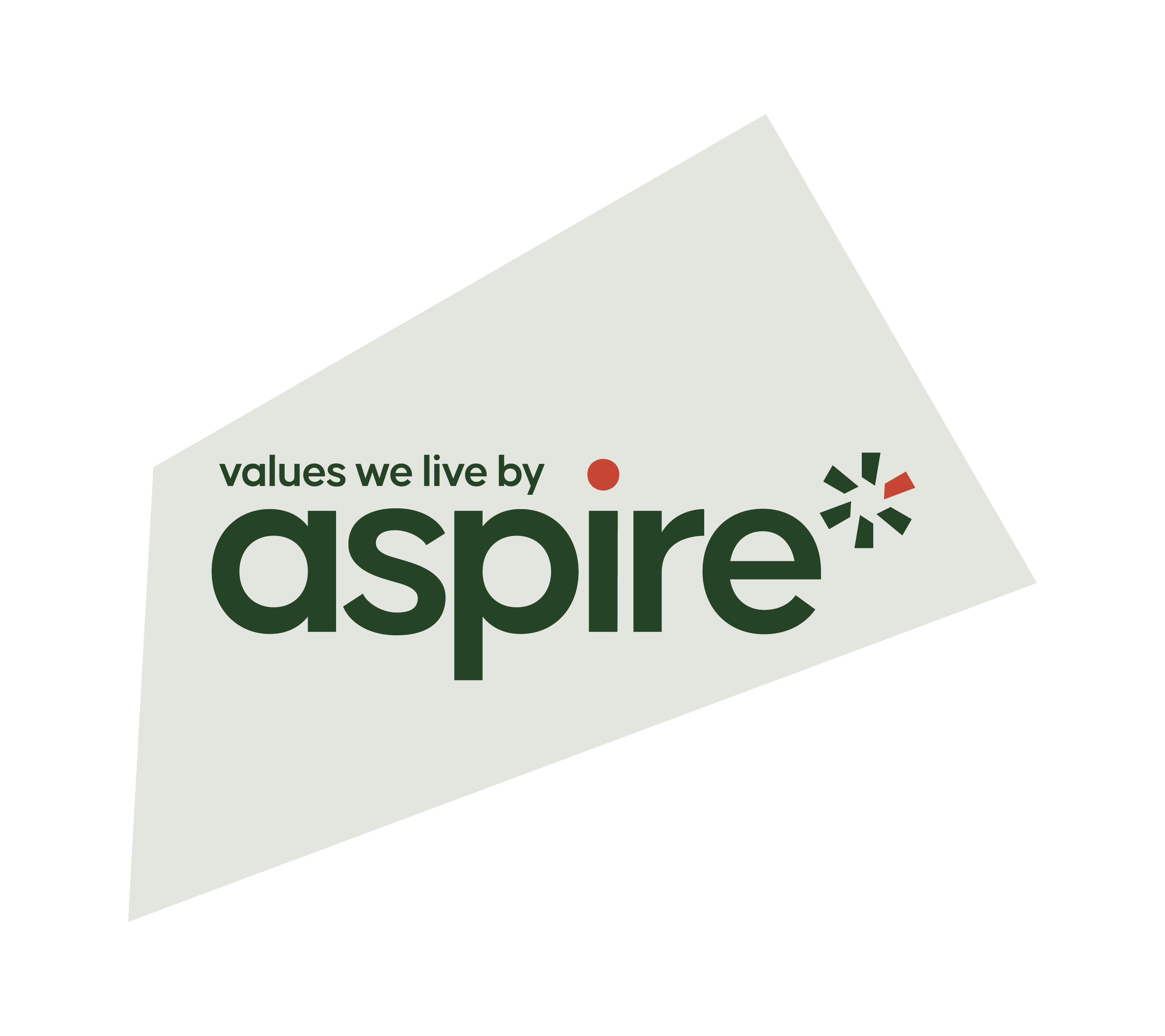 values we live by aspire